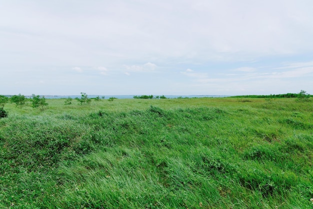Vista panoramica del campo contro il cielo