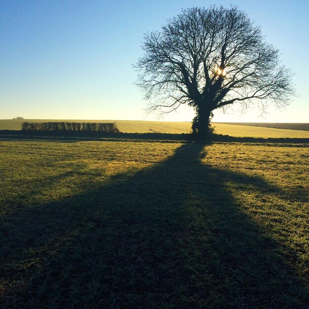 Vista panoramica del campo contro il cielo