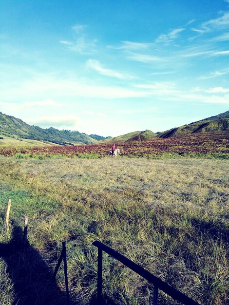 Vista panoramica del campo contro il cielo