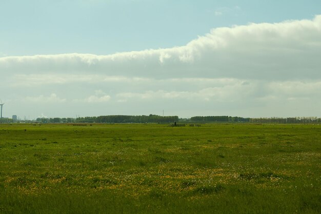 Vista panoramica del campo contro il cielo