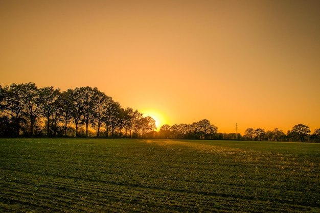 Vista panoramica del campo contro un cielo limpido durante il tramonto