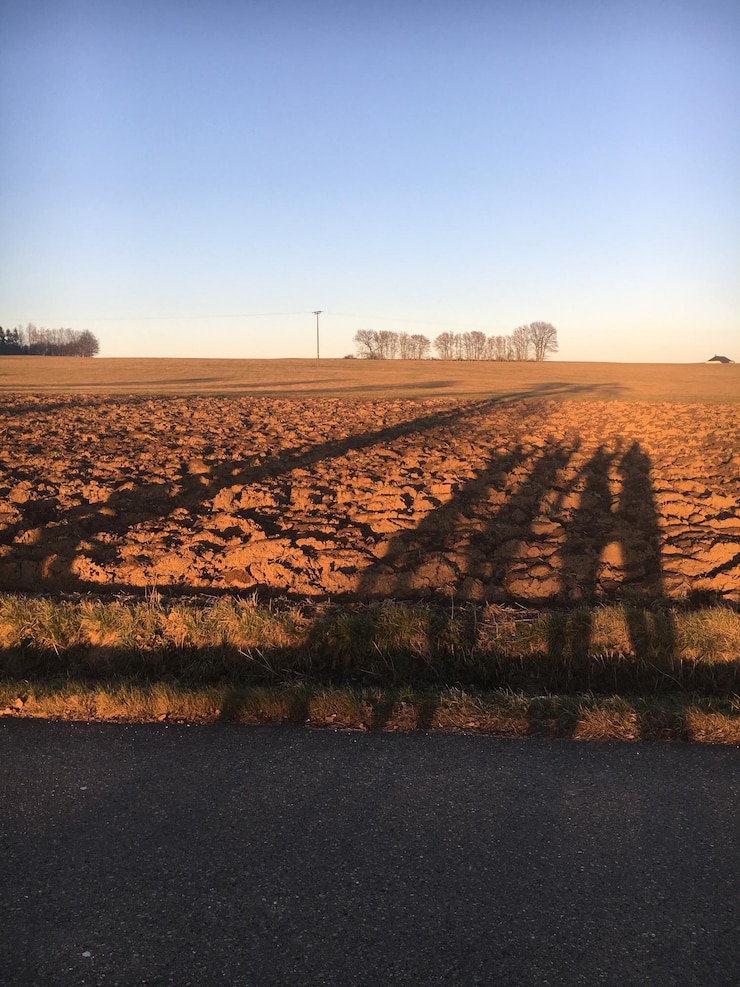 Foto vista panoramica del campo contro un cielo limpido