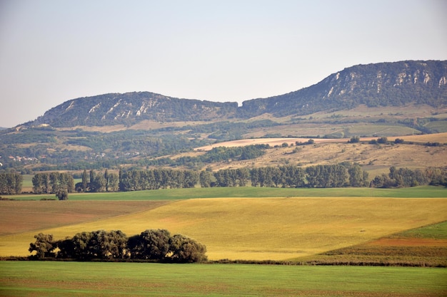 Vista panoramica del campo contro un cielo limpido