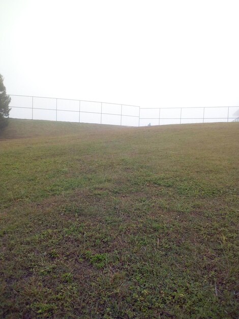 Vista panoramica del campo contro un cielo limpido