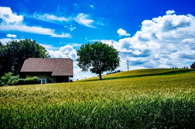 Vista panoramica del campo contro un cielo nuvoloso