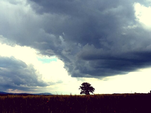 Vista panoramica del campo contro un cielo nuvoloso