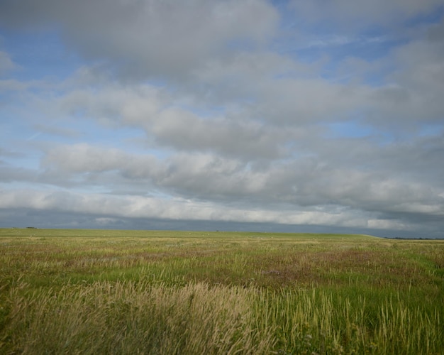 Vista panoramica del campo contro un cielo nuvoloso