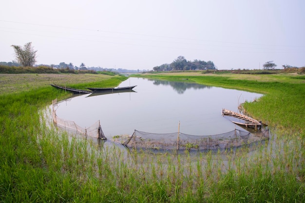 Vista panoramica del campo di riso e barca da pesca sul lato del Cannel