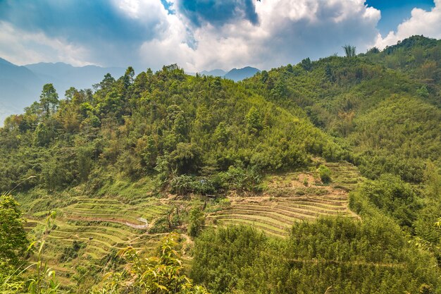 Vista panoramica del campo di riso terrazzato a Sapa, Lao Cai, Vietnam