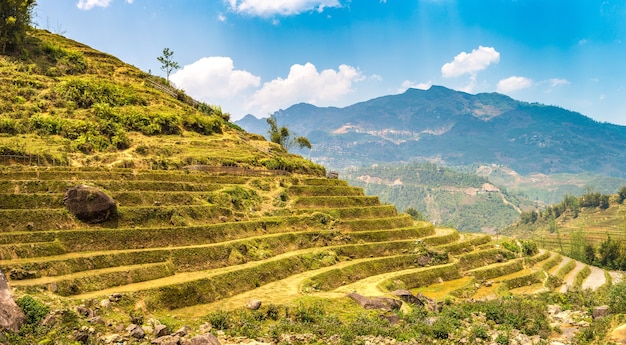 Vista panoramica del campo di riso terrazzato a Sapa