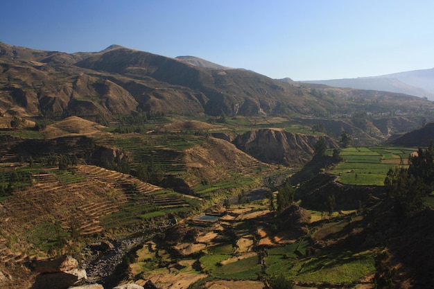 Vista panoramica del canyon del colca e delle montagne