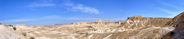 Vista panoramica del Canyon Ein Avdat