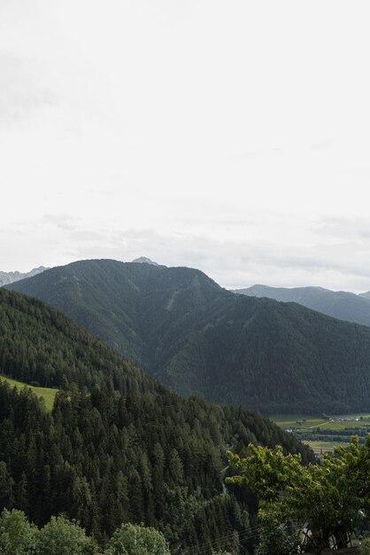 Vista panoramica del cielo della foresta della valle delle montagne con le nuvole Paesaggio