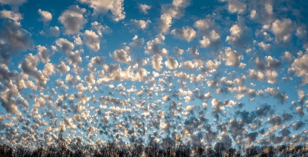 Vista panoramica del cielo serale con tanti piccoli cumuli