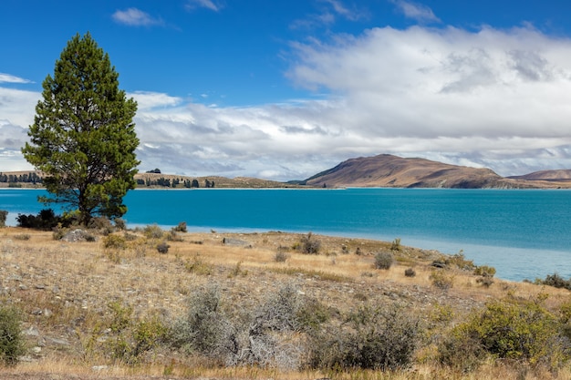 Vista panoramica del colorato Lago Tekapo