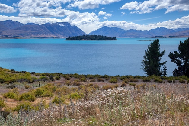 Vista panoramica del colorato Lago Tekapo