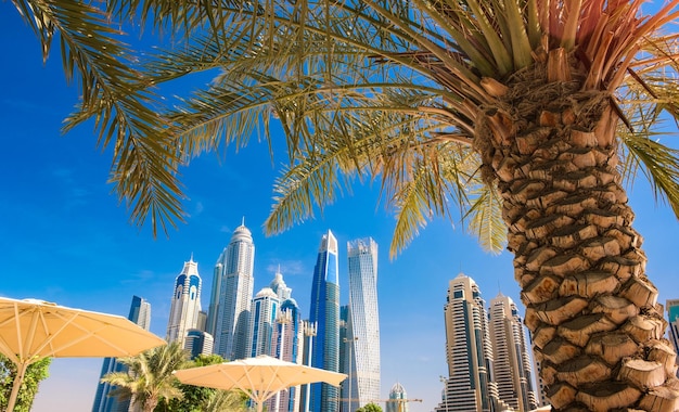 Vista panoramica del concetto di vacanza di palme e grattacieli