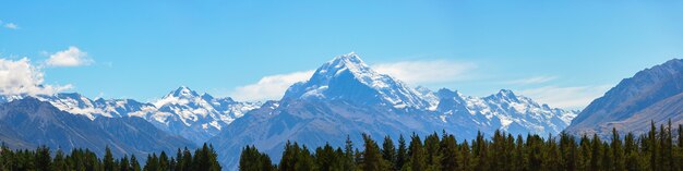 Vista panoramica del cuoco del supporto di Aoraki in isola del sud Nuova Zelanda