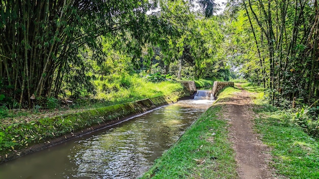 vista panoramica del fiume artificiale che passa attraverso gli alberi verdi