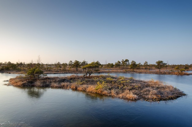 Vista panoramica del fiume contro un cielo limpido nella foresta durante l'inverno