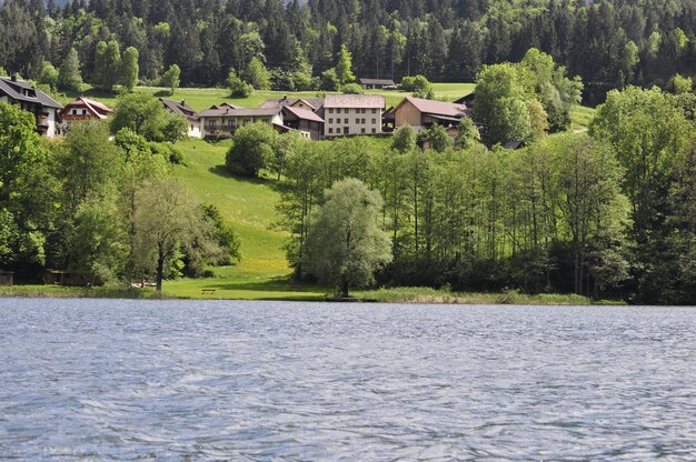 Vista panoramica del fiume dagli alberi contro il cielo