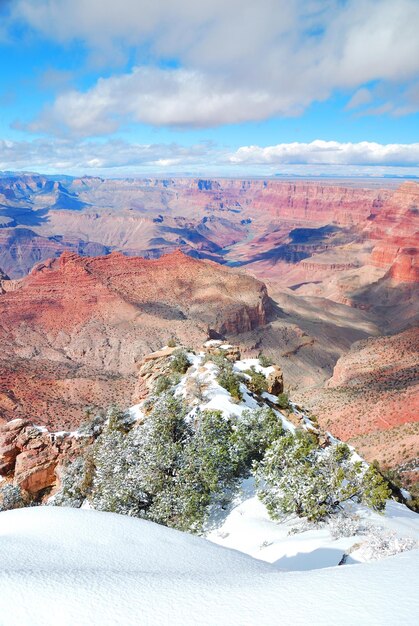 Vista panoramica del Grand Canyon in inverno con neve