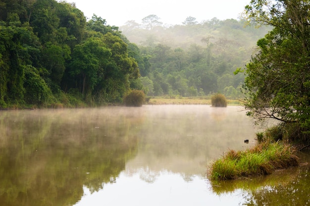 Vista panoramica del lago calmo in tempo di nebbia