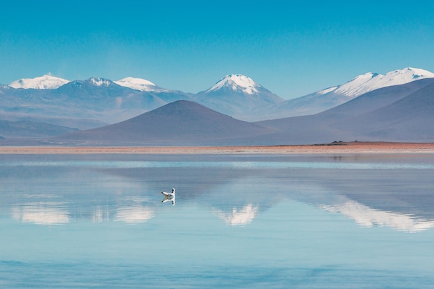 Vista panoramica del lago contro le catene montuose durante l'inverno