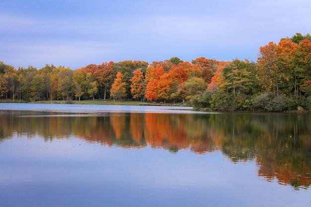 Vista panoramica del lago contro un cielo limpido