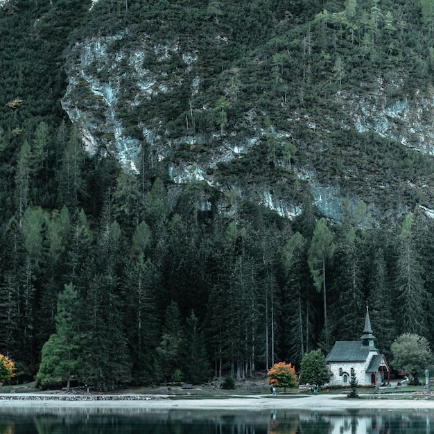 Vista panoramica del lago da strutture costruite e alberi