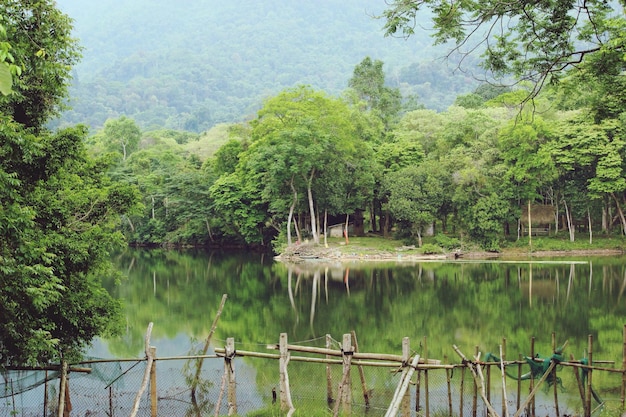 Vista panoramica del lago dagli alberi contro il cielo