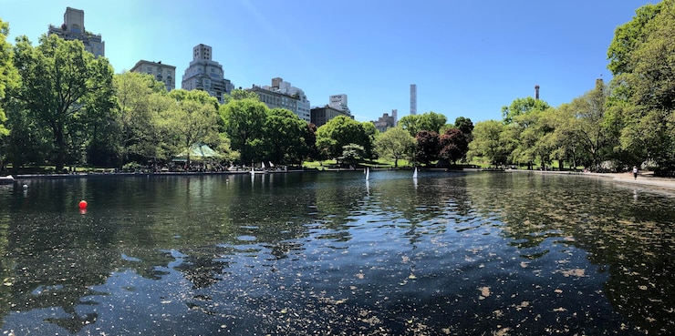 Foto vista panoramica del lago dagli alberi contro un cielo limpido
