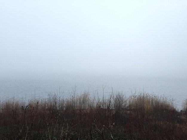 Vista panoramica del lago in caso di nebbia