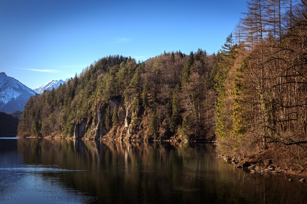 Vista panoramica del lago nella foresta contro il cielo