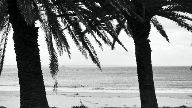 Vista panoramica del mare contro il cielo