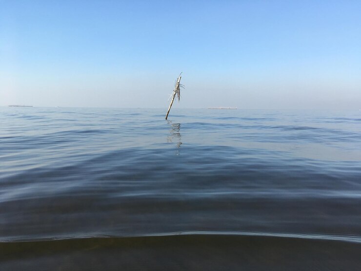 Foto vista panoramica del mare contro un cielo limpido