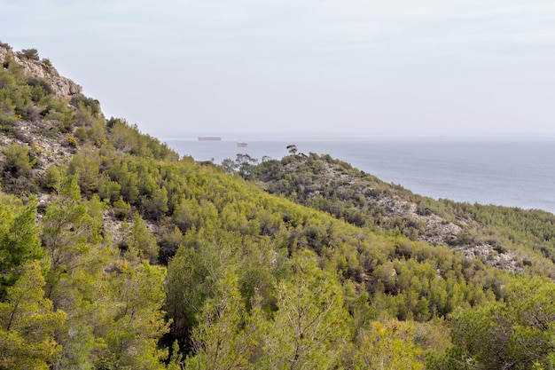 Vista panoramica del mare navi da carico in lontananza e montagne ricoperte di foreste in una giornata nuvolosa di primavera MediterraneanxDxA