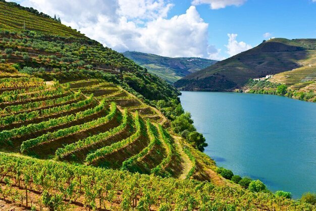 Vista panoramica del paesaggio agricolo contro il cielo