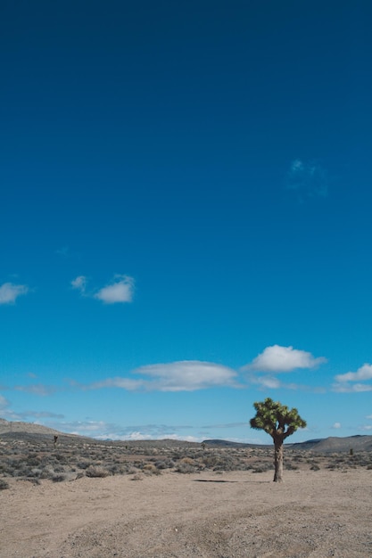 Vista panoramica del paesaggio contro il cielo blu
