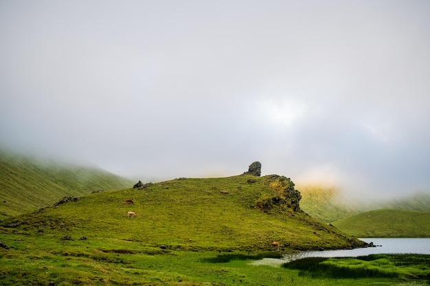 Vista panoramica del paesaggio contro il cielo in tempo di nebbia