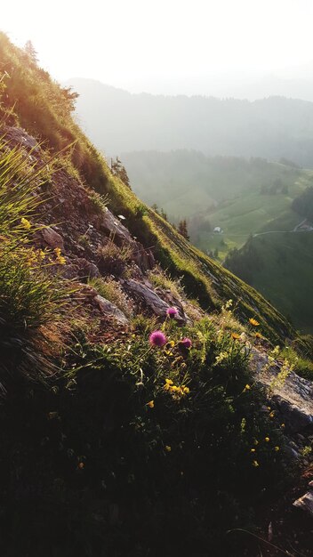 Vista panoramica del paesaggio contro il cielo