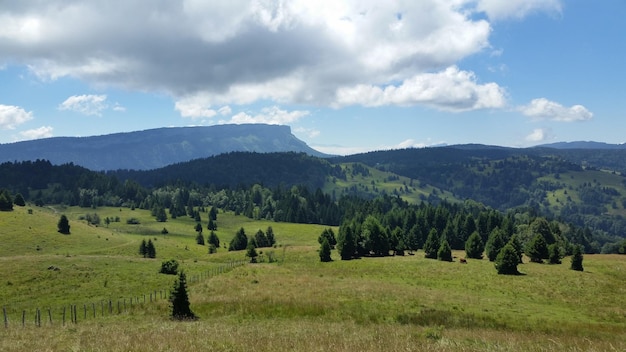 Vista panoramica del paesaggio contro il cielo