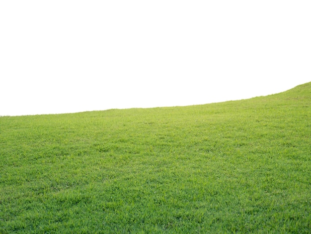 Vista panoramica del paesaggio contro un cielo limpido