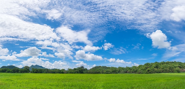 Vista panoramica del paesaggio del cielo blu agente campo di erba verde nella campagna della Thailandia