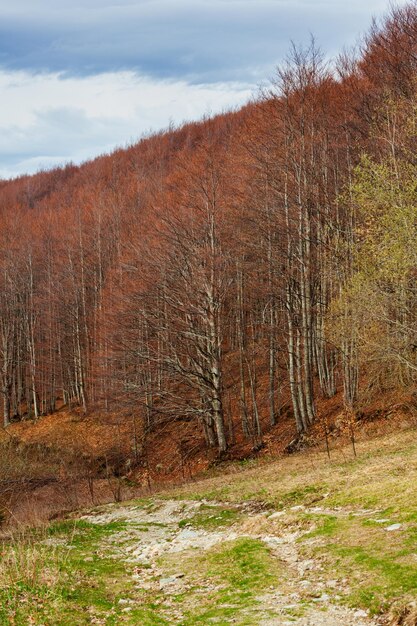 Vista panoramica del paesaggio dell'Appennino Tosco Emiliano a Ventasso Italia