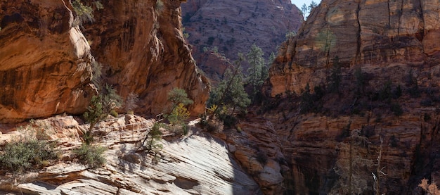 Vista panoramica del paesaggio di un sentiero escursionistico nel Canyon durante una giornata di sole