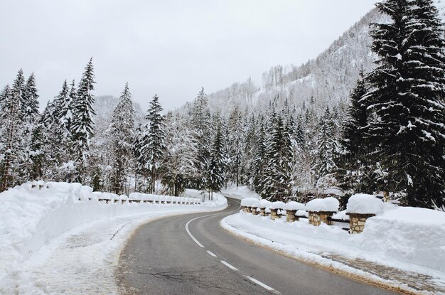 Vista panoramica del paesaggio invernale con alberi innevati nelle Alpi, Slovenia. Concetto di bellezza della natura