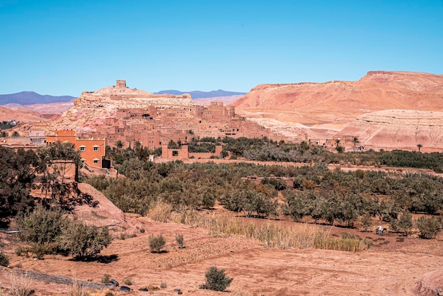 Vista panoramica del paesaggio montano deserto e della città con i cespugli