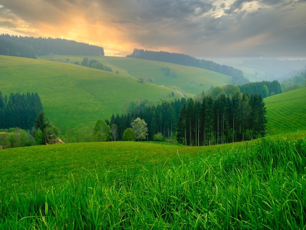 Vista panoramica del paesaggio nella Foresta Nera in Germania