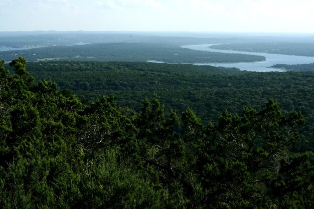 Vista panoramica del paesaggio verde contro il cielo